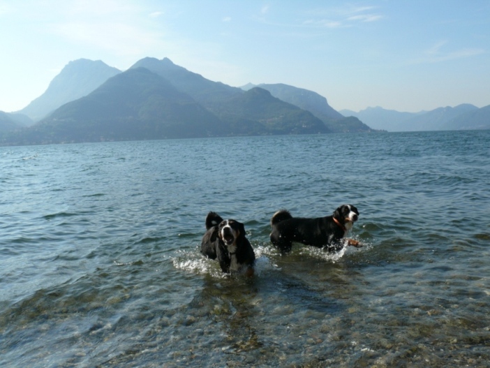 Donja mit Mama Senta im August 2008 im Comer See